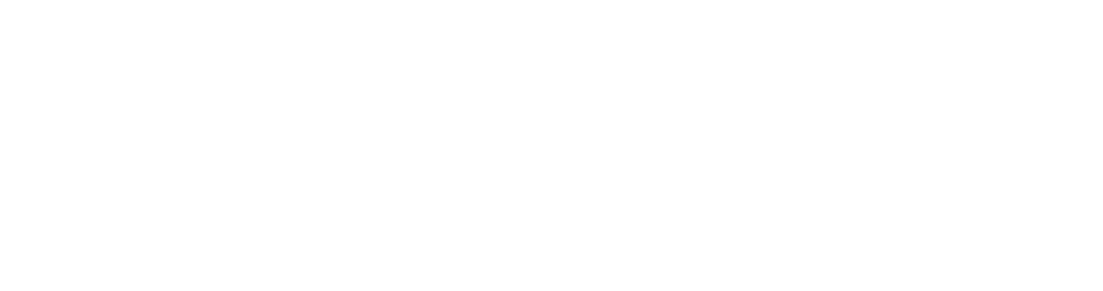 Carasoft